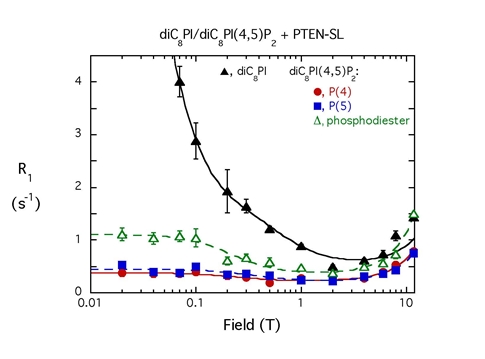 6-PTEN fc-NMR